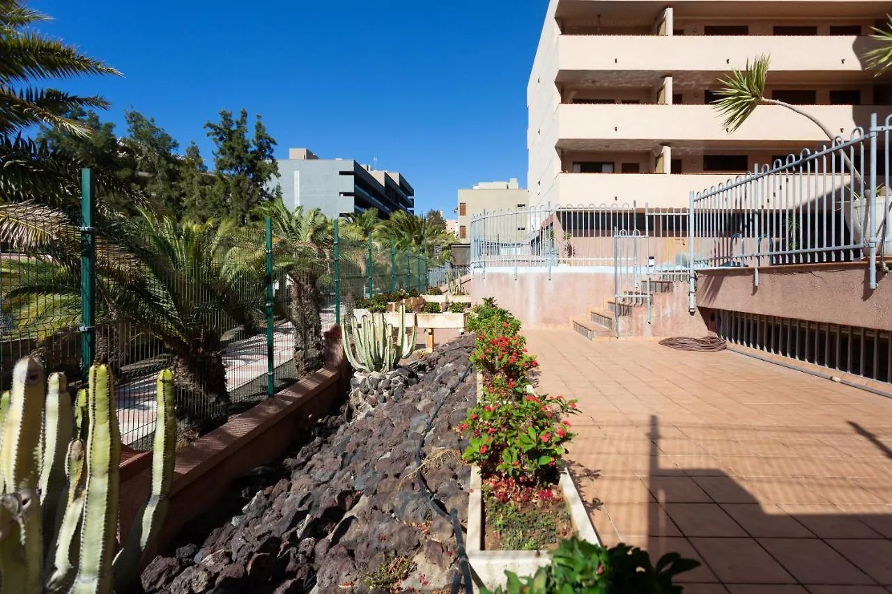 Aticos Los Cristianos Los Cristianos  Apartment Los Cristianos (Tenerife)